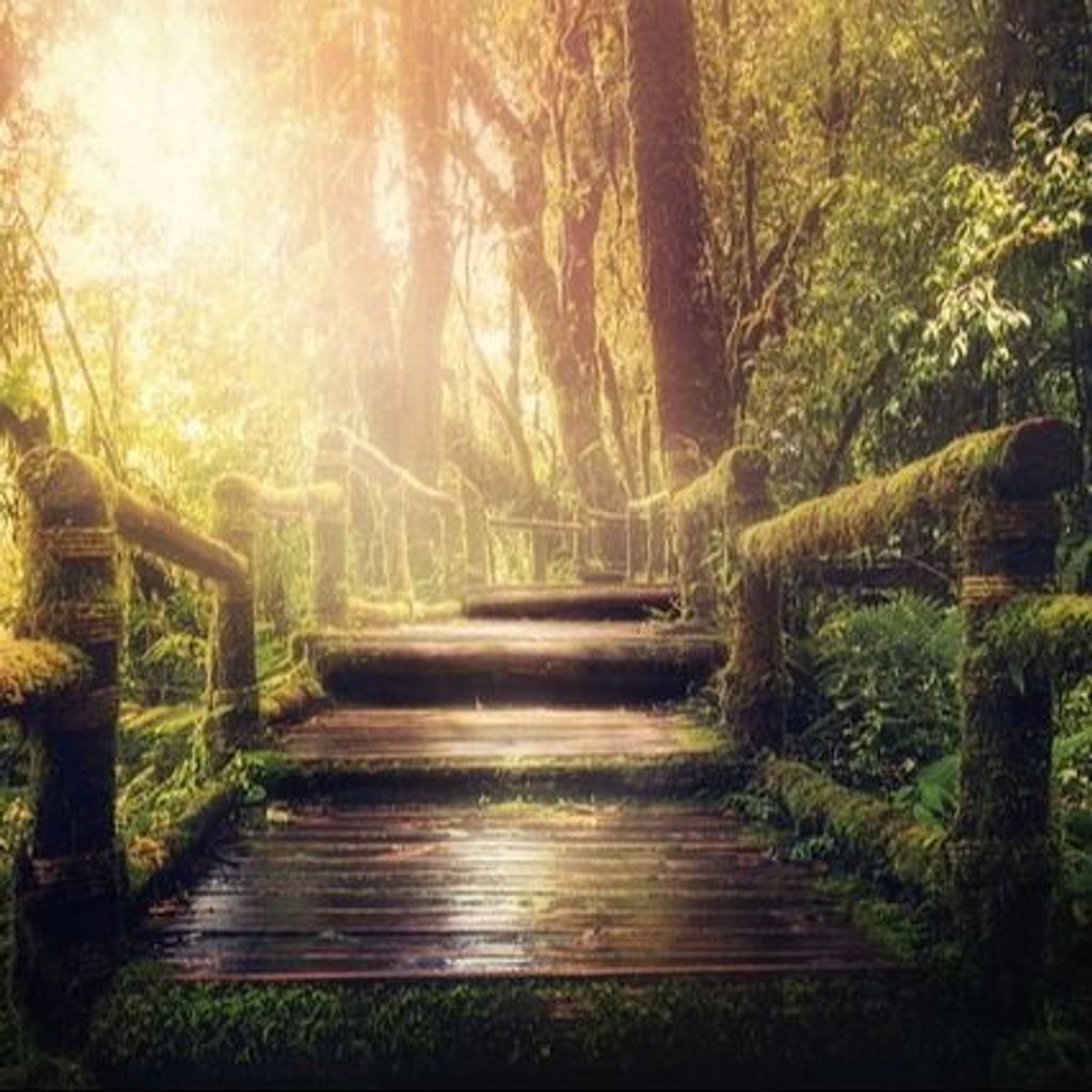 Nicolas Manno Profile Photo