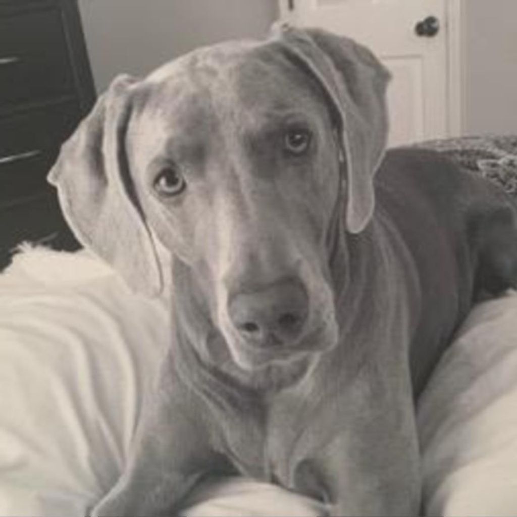 Macy VanderBor Profile Photo