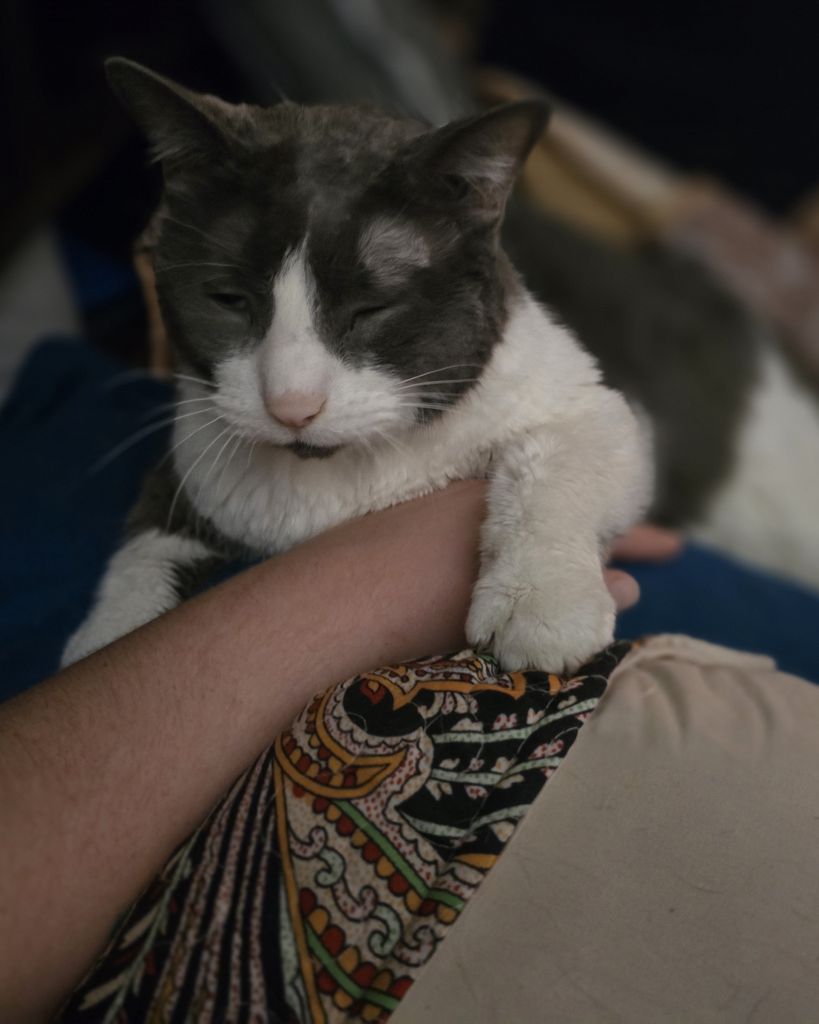 Fred Profile Photo