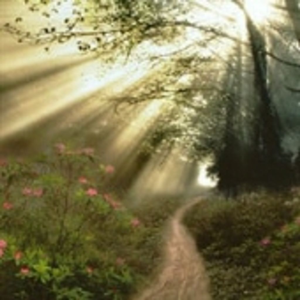 William Robert Ronay