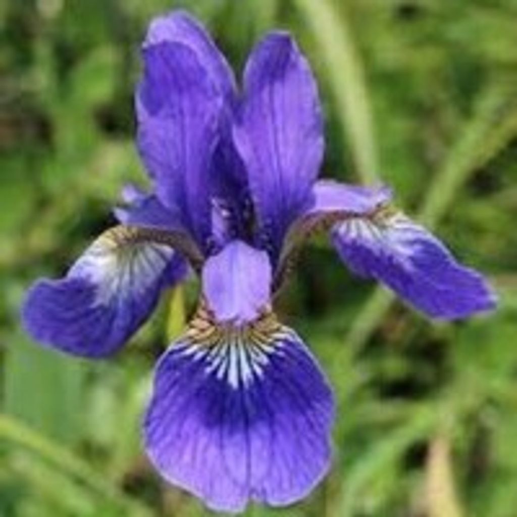 Margaret  J. Yerkie Profile Photo