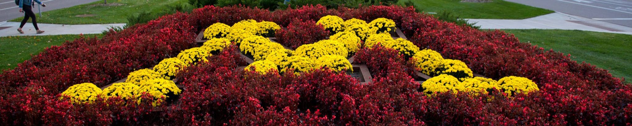 Cover for Lawrence “Larry” J. Zilliox's Obituary