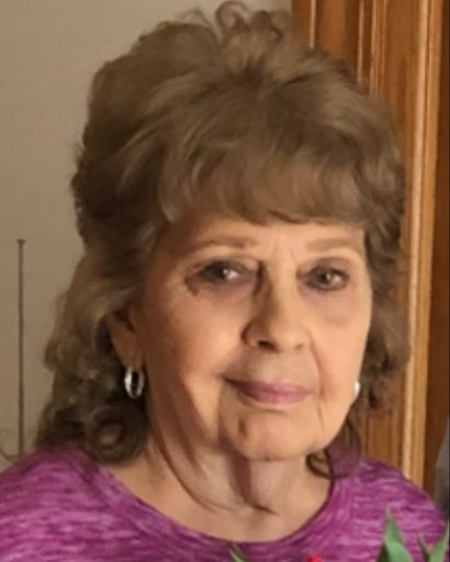 Mary Ellen Wolfe Profile Photo