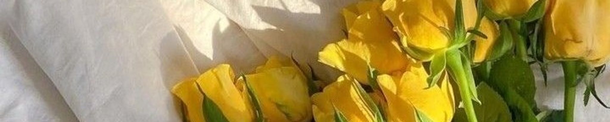 Cover for Selena Marie Wilson's Obituary