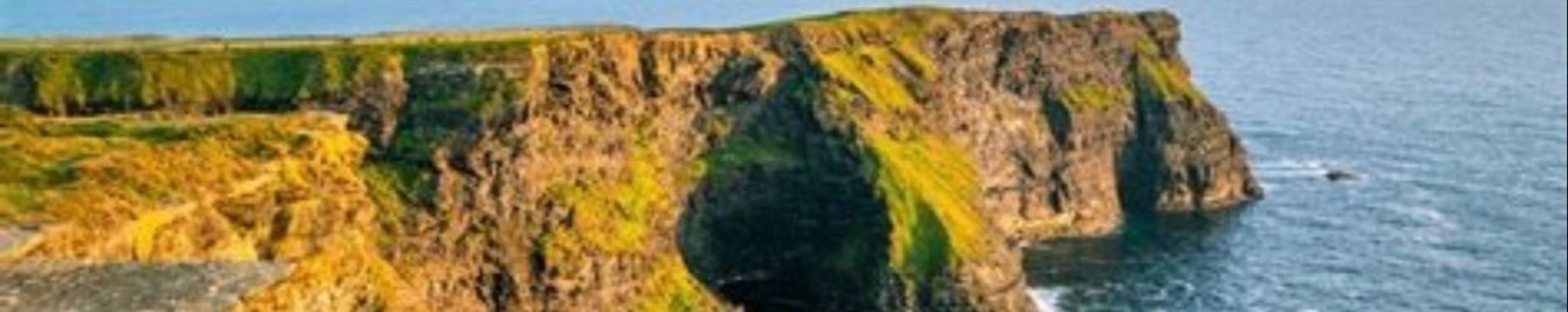 Cover for Carole Christine Crotty's Obituary