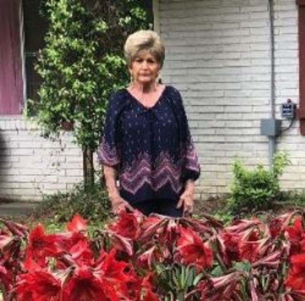 Maty Catherine 'Kathy' Bankston Profile Photo