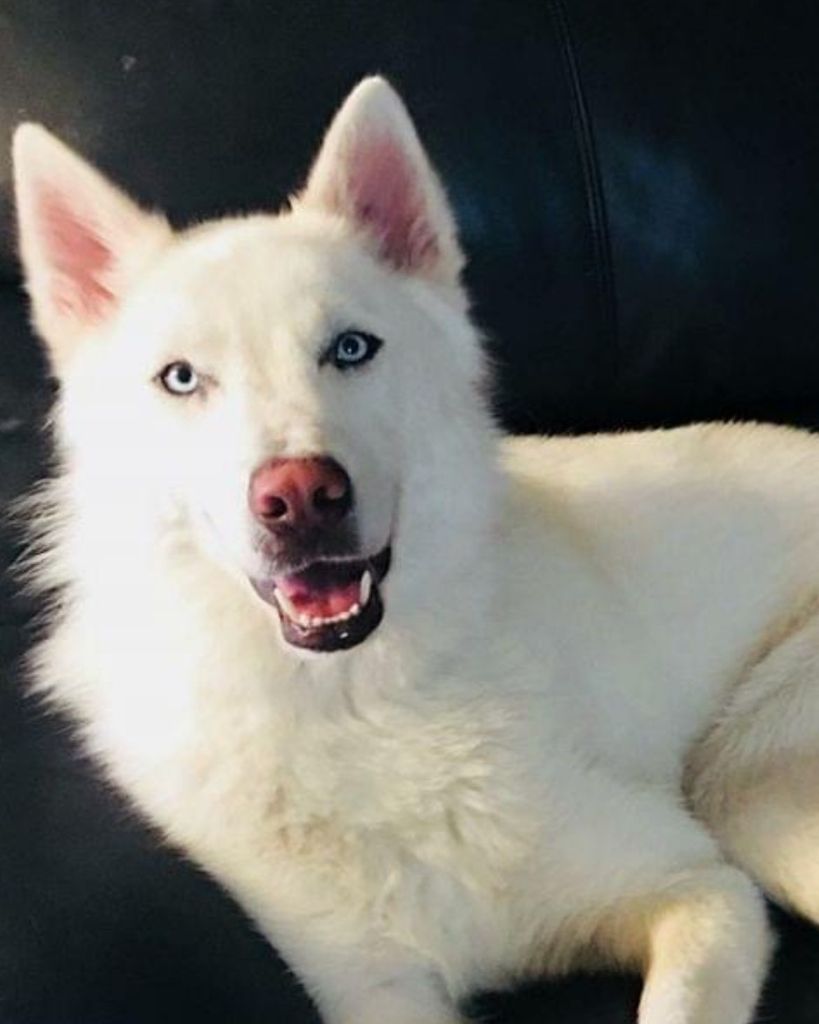 Zeus Profile Photo