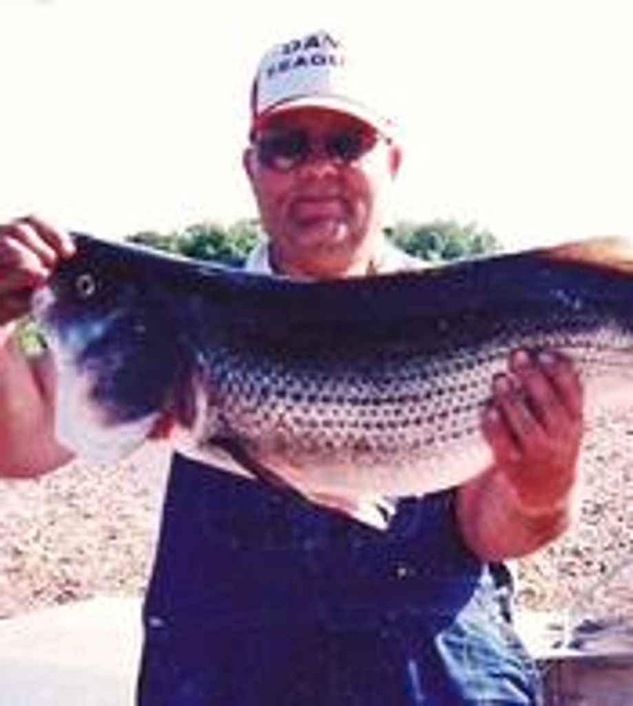 Harold Wayne Cashier