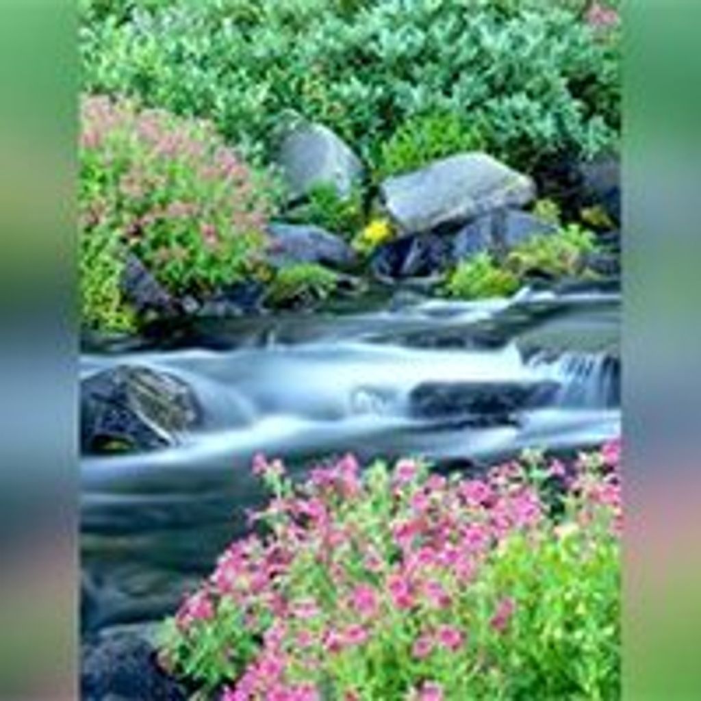 Janis D. Gard Profile Photo
