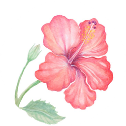 Emblem