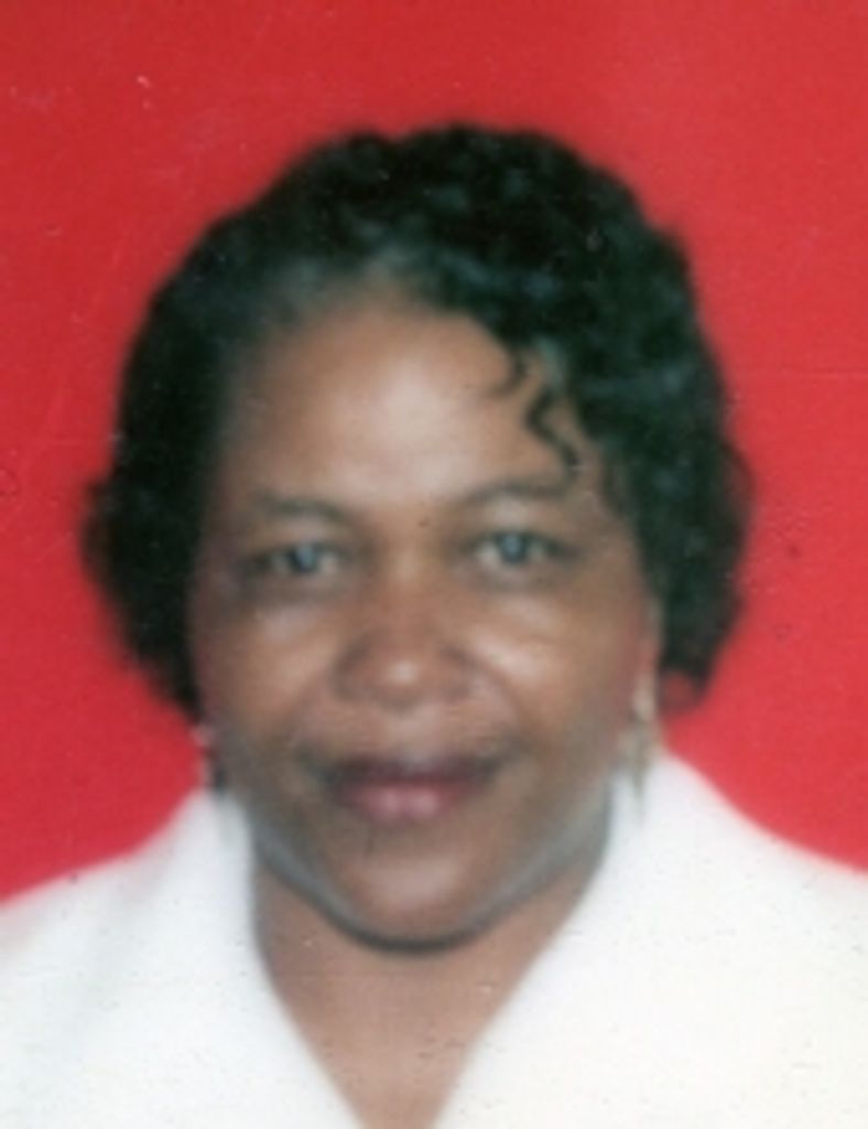 Nancy Lue Baskerville Profile Photo