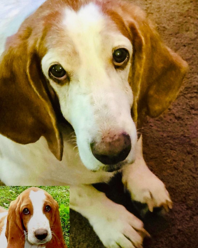 Mercedes “Shorty” Hakes