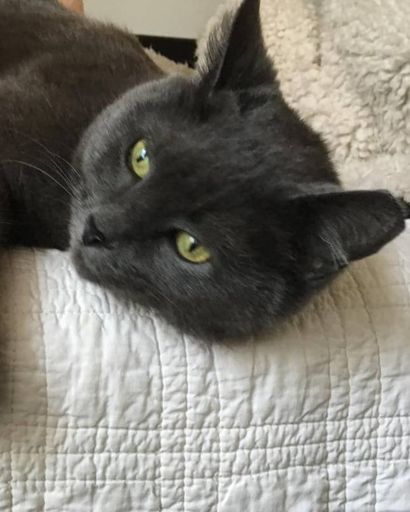 Gracie Love's obituary image
