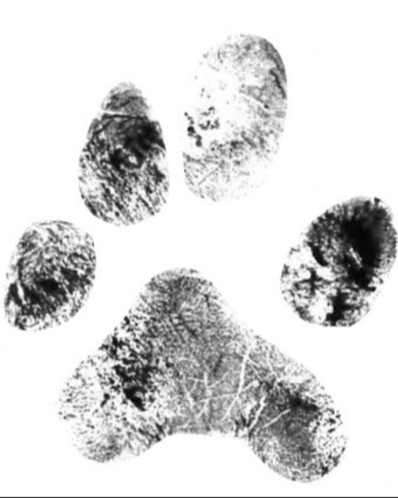 Teddy Pennell Profile Photo