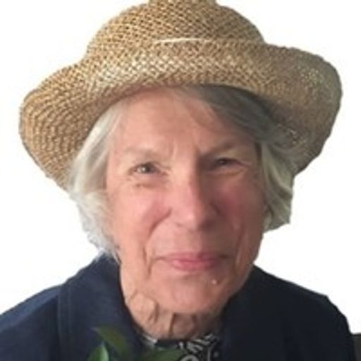 Janet Small Profile Photo