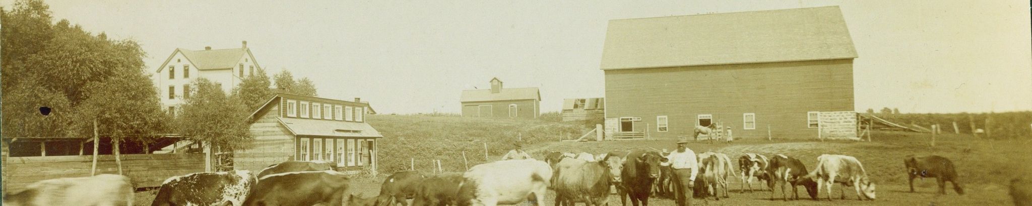 Cover for Inez Beatrice Genevieve Riswold Wilson's Obituary