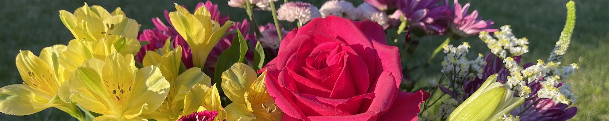 Cover for Karon Lynn Johnson's Obituary