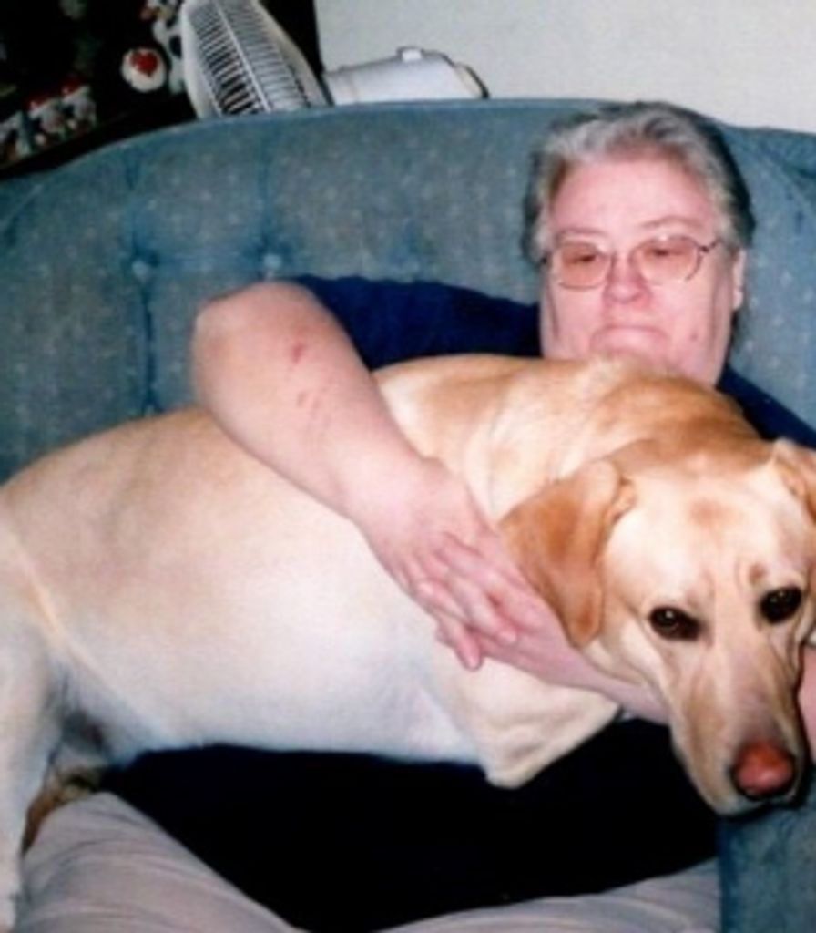 Carol  Ann (Fuller)  Wiley Profile Photo