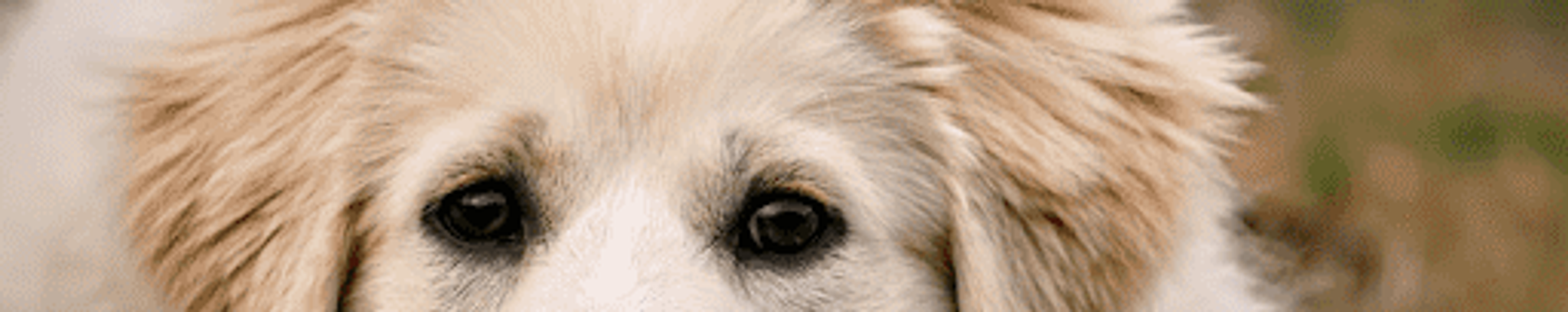 Cover for William "Bill" E. Urbansky's Obituary