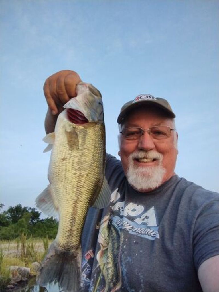 David L Mattingly Profile Photo