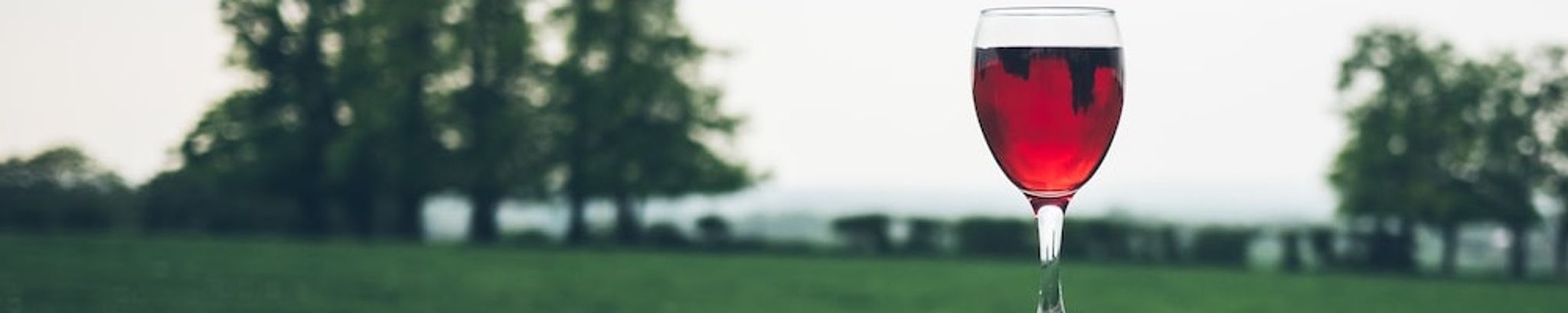 Cover photo for Cheryl Beres's Obituary