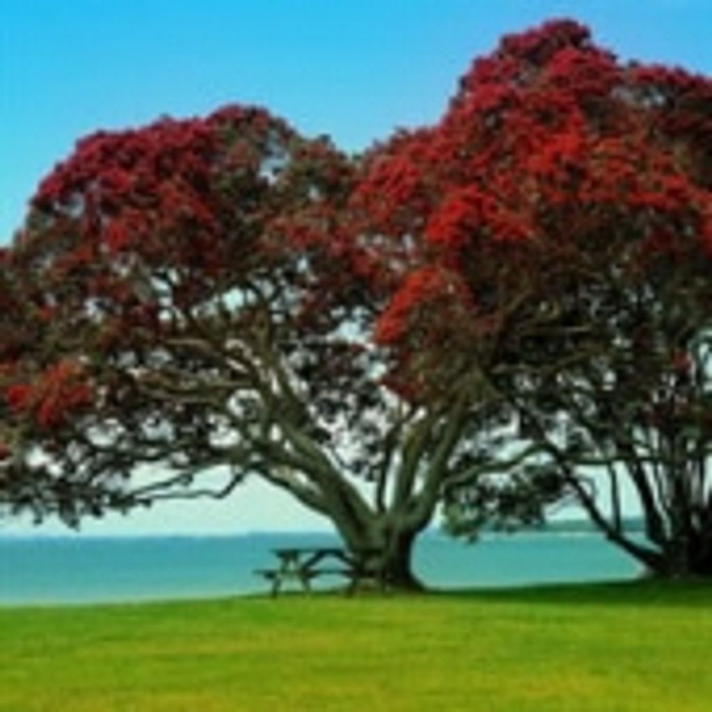 James Bertie Yarbrough Jr.