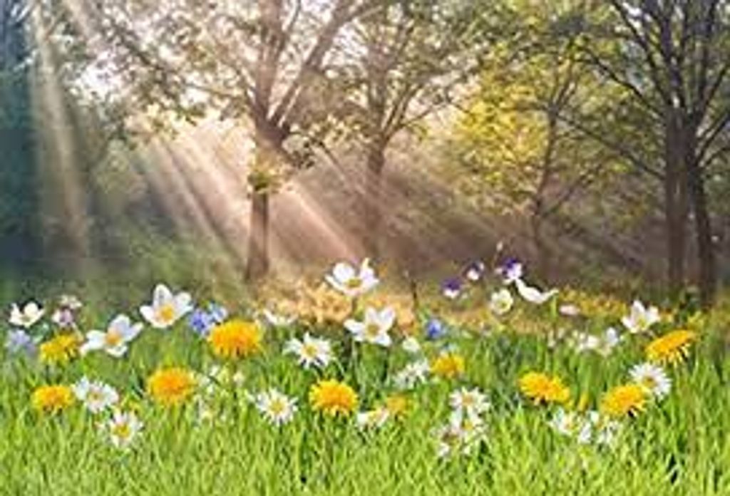 Patricia Joan Moore Profile Photo