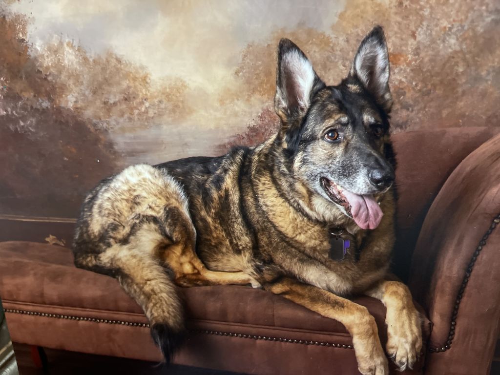 Ruger Profile Photo