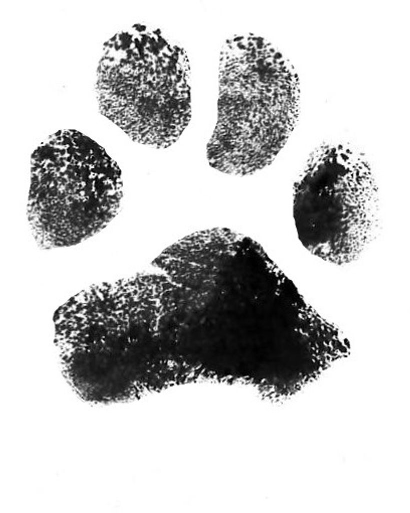 Bo Houser Profile Photo