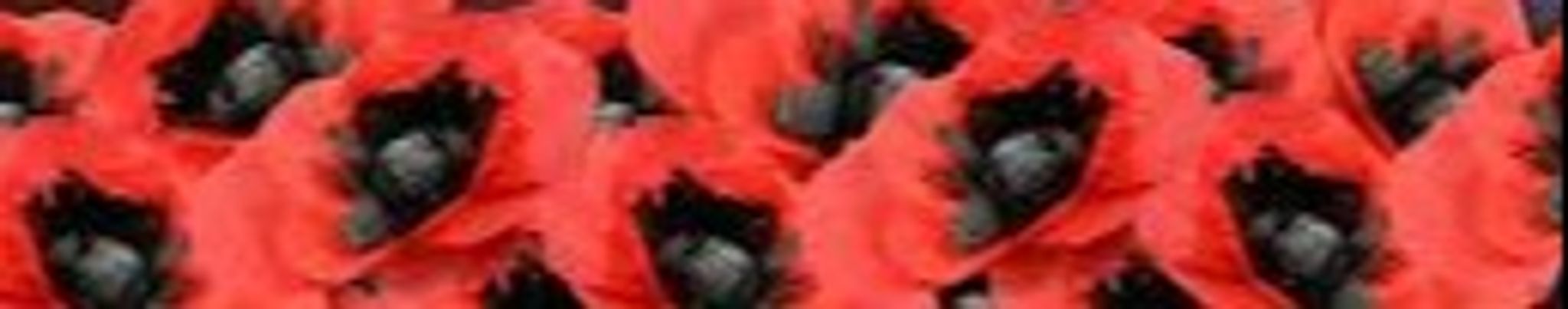 Cover for Walter " Wally" L. Pfeiffer's Obituary