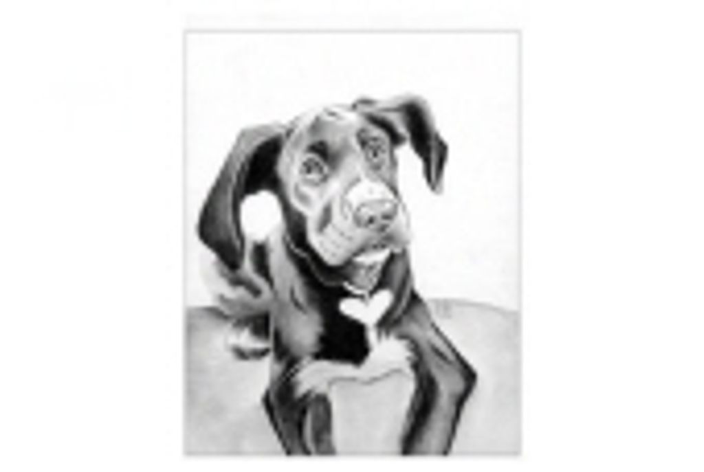 Hooch Semelbauer Profile Photo