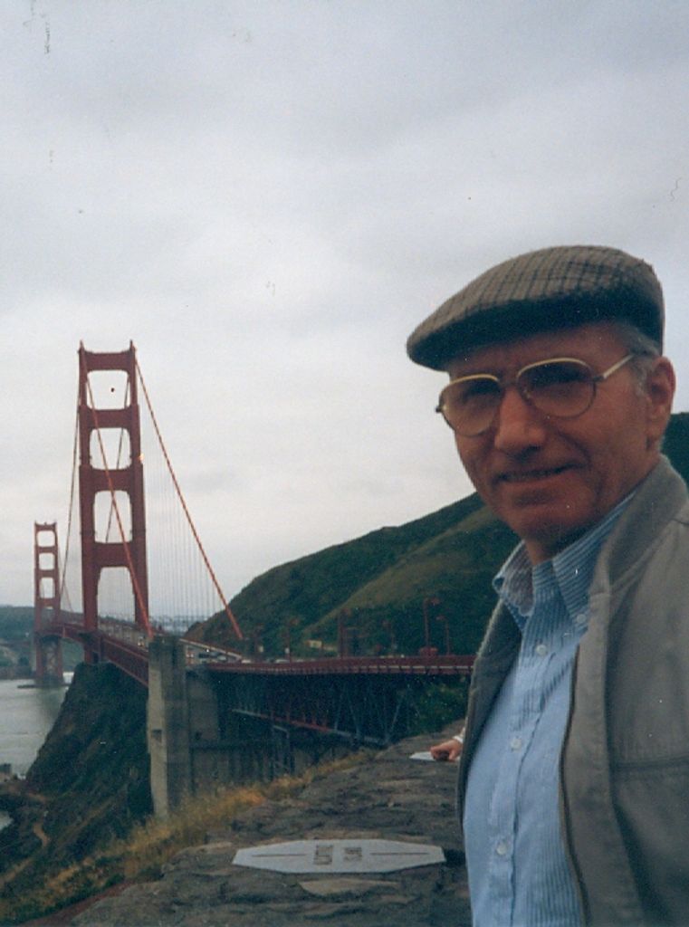 Mario L. Volpi