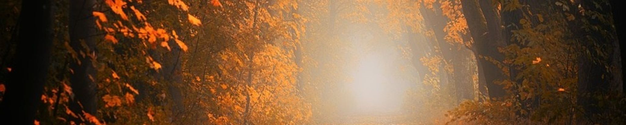 Cover photo for Marie Rita Ionno's Obituary