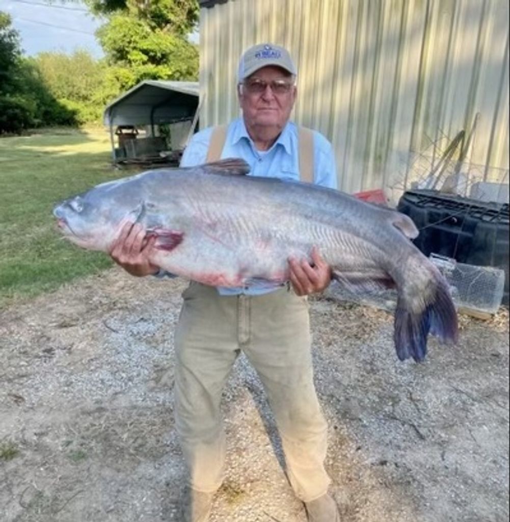 Jimmy Dale Reynolds Profile Photo