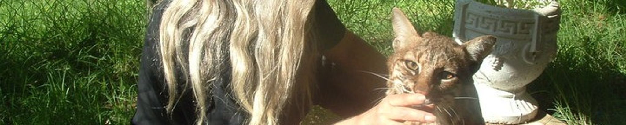 Cover photo for Brenda Jo Frickenschmidt's Obituary
