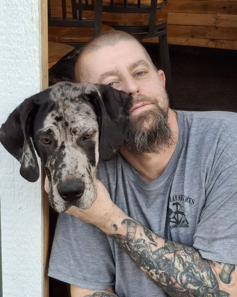 Corey M Collins Profile Photo