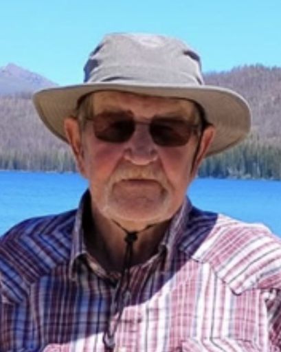 Murle Vernon Sisiam's obituary image