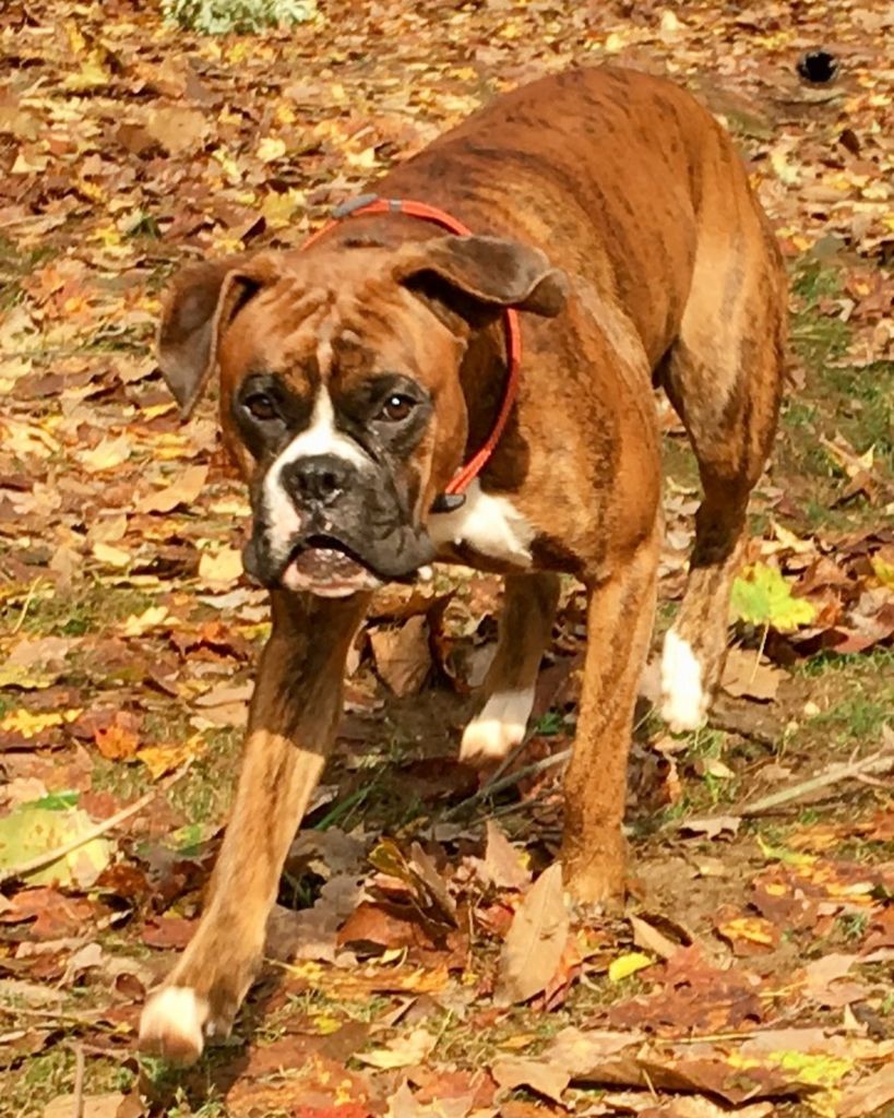 Krush Ollberding Profile Photo