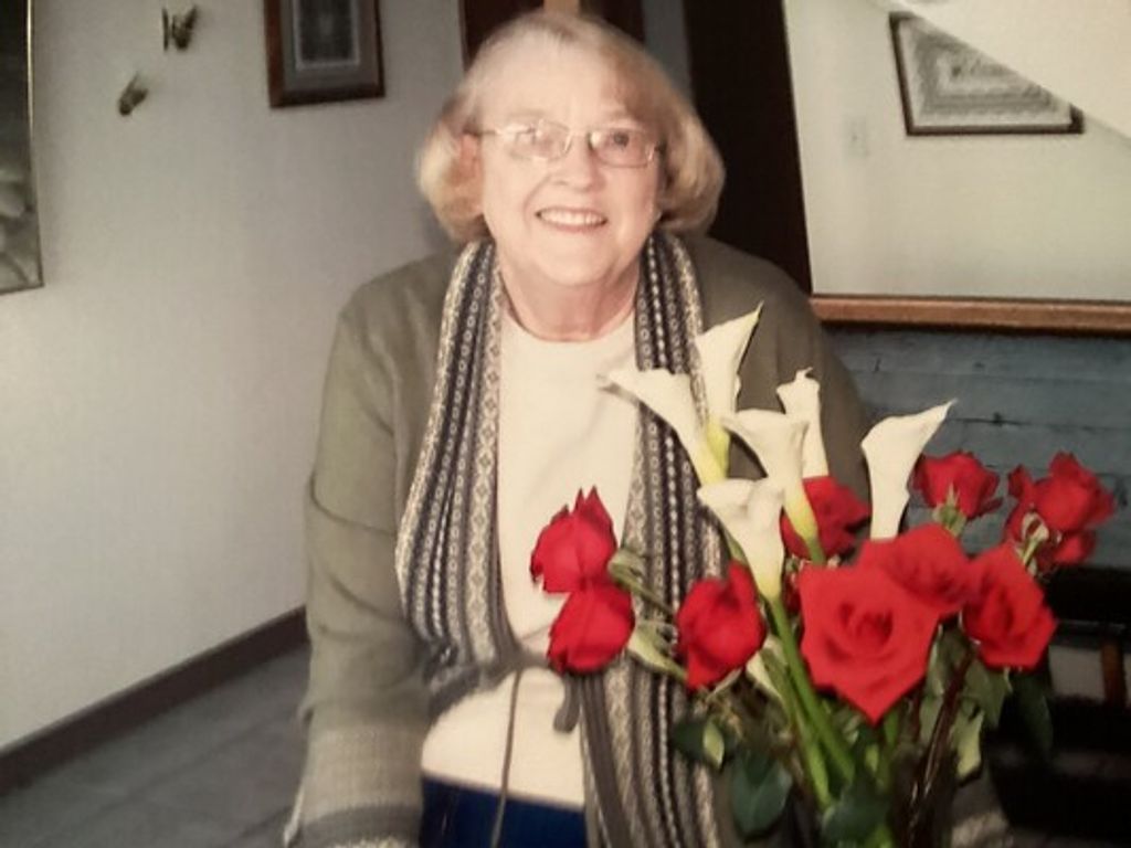 Ann Collins Profile Photo