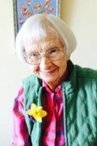 Ann Spurway Profile Photo
