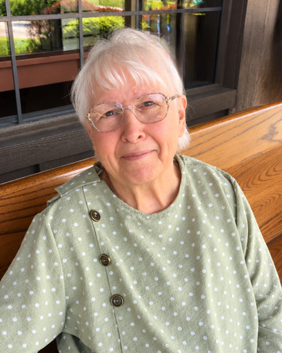 Patricia Ann Hohman's obituary image