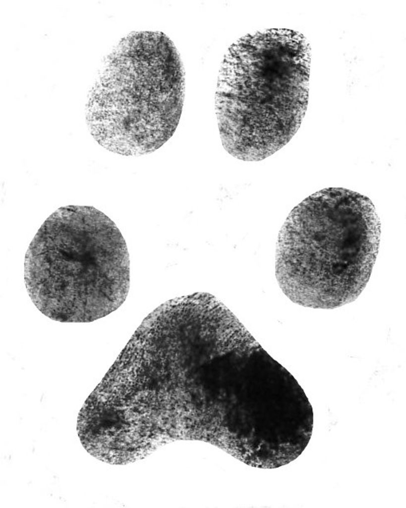 Molly Oakes Profile Photo