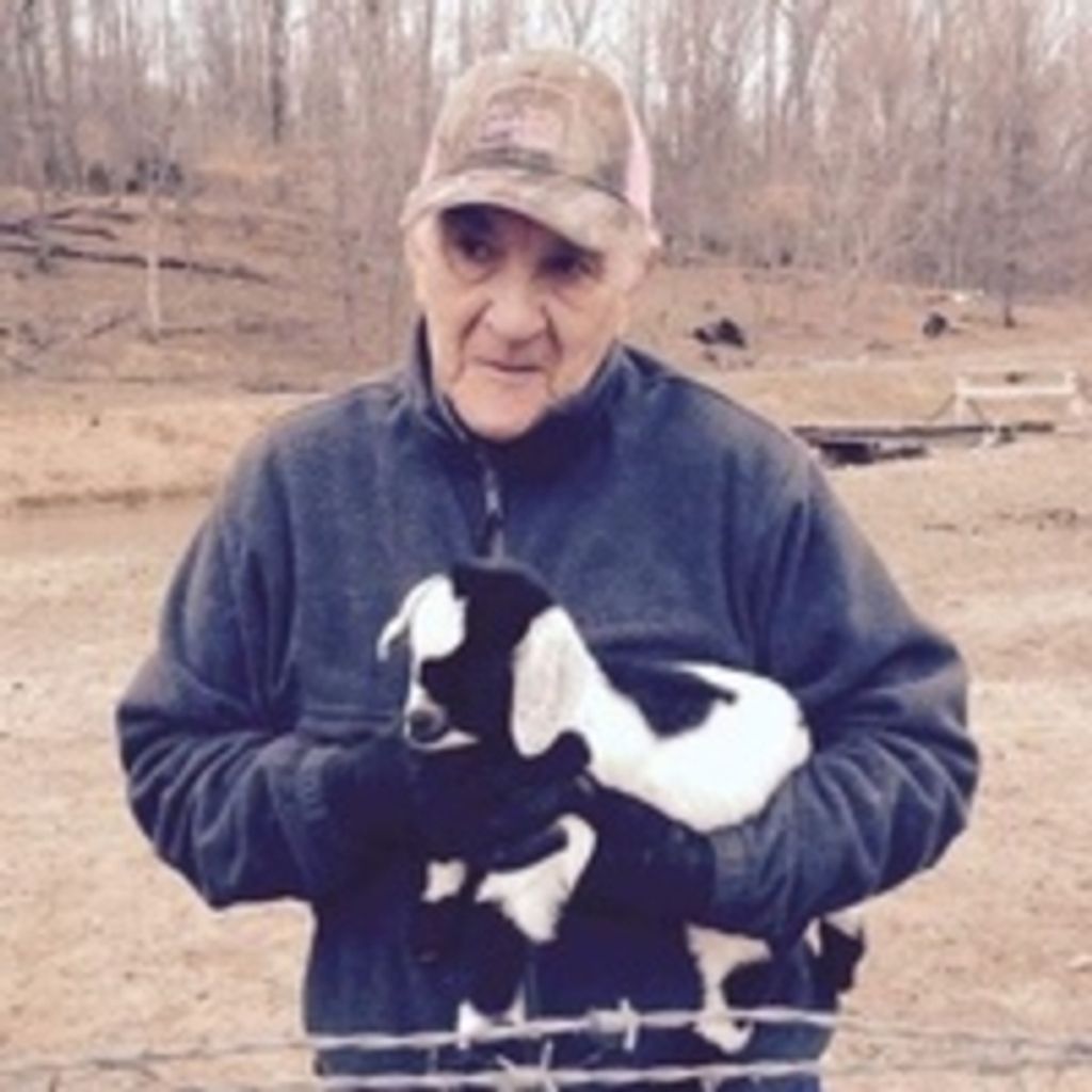 Al Ortago Profile Photo