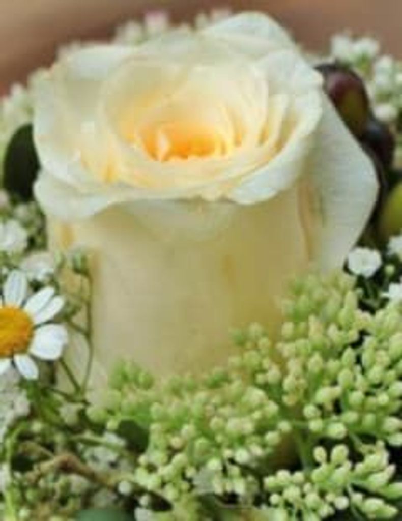 Tiyease Nelson Profile Photo