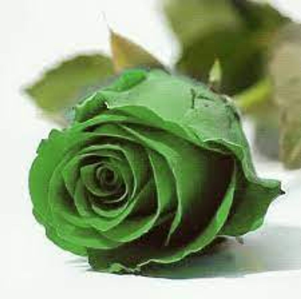 Charles Heard Profile Photo