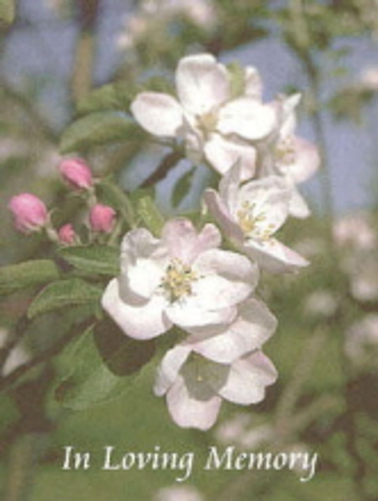 Iris L. Brackett