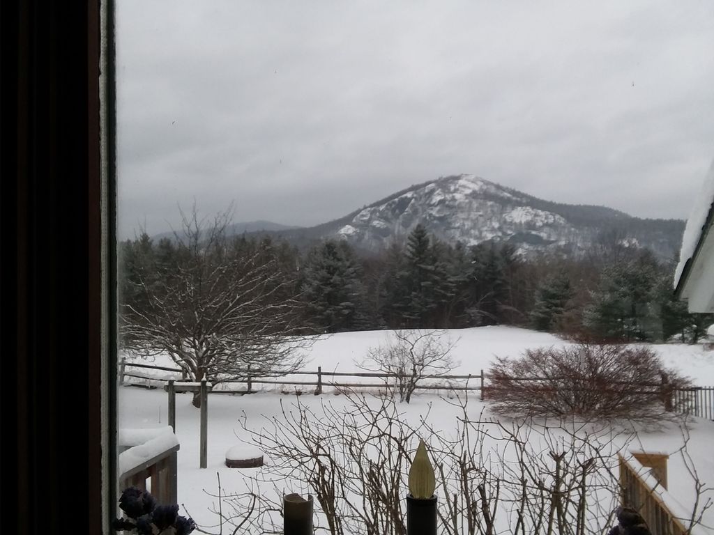 Mary Margaret (Mimi) Ford Profile Photo