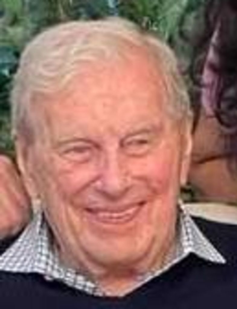 Dominick J. Vigliotti