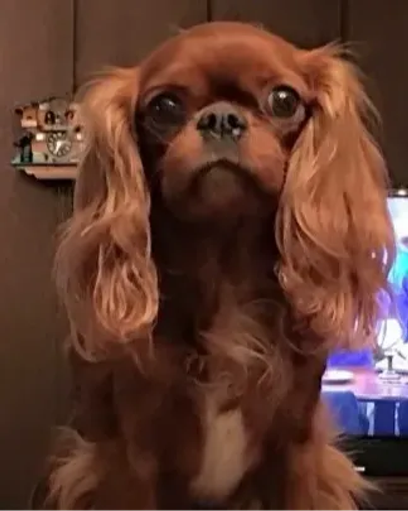 Lady Profile Photo