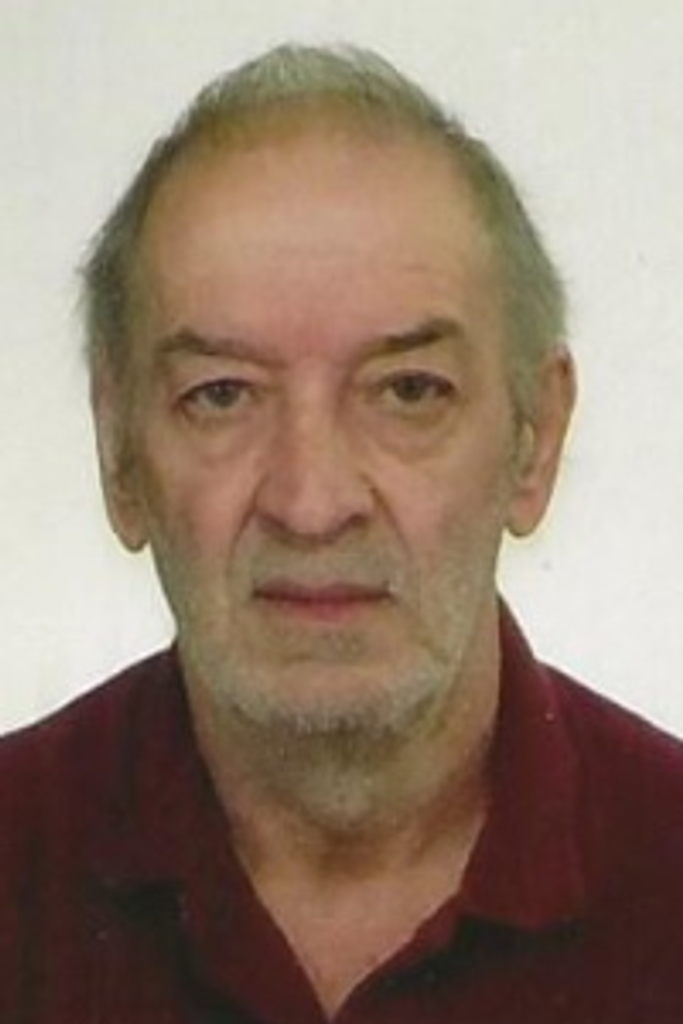 Dinis S. Estrela